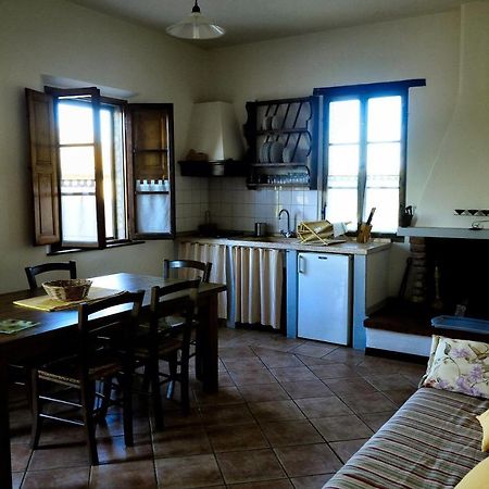 Agriturismo Il Sole Verde Bucine Экстерьер фото