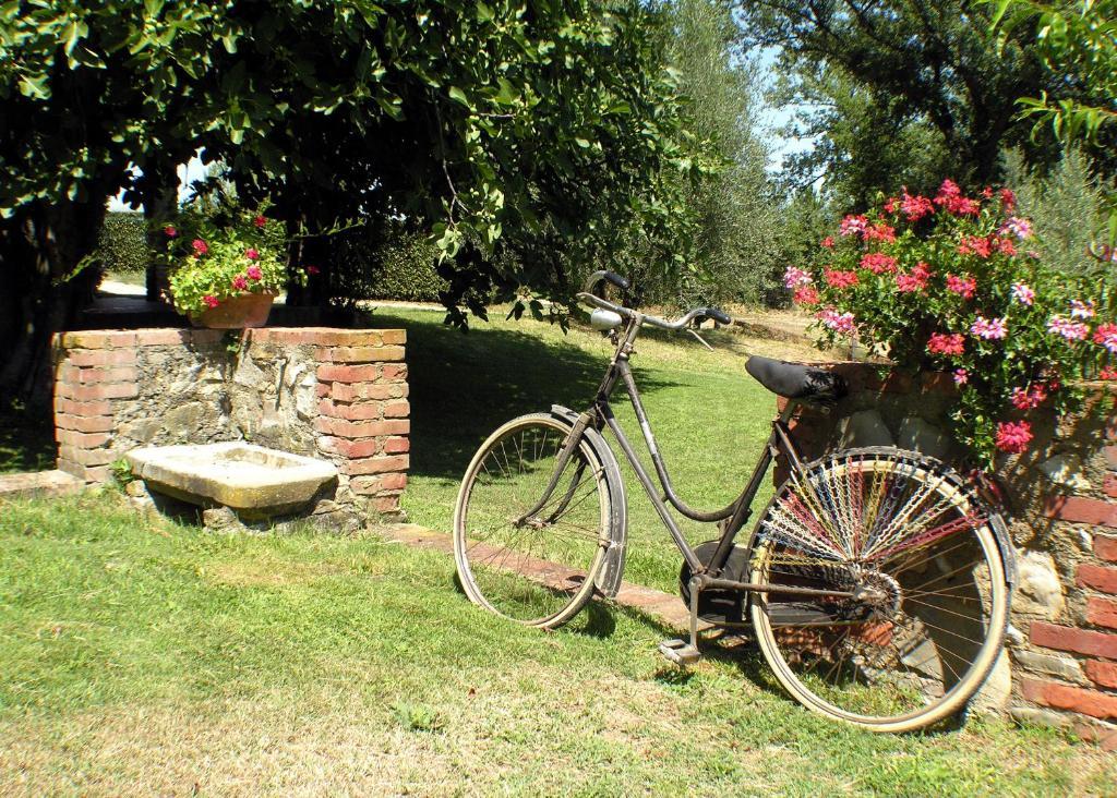 Agriturismo Il Sole Verde Bucine Экстерьер фото