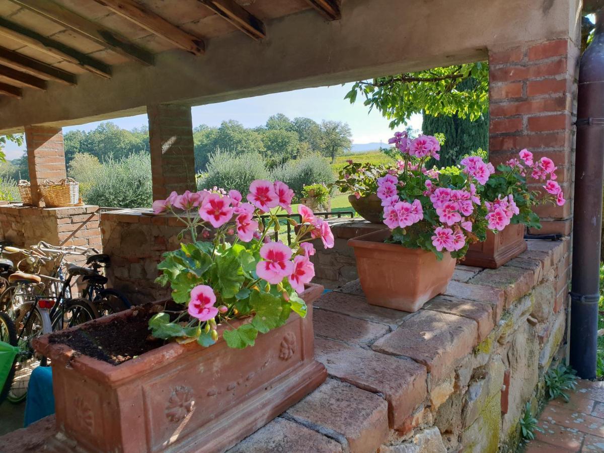 Agriturismo Il Sole Verde Bucine Экстерьер фото