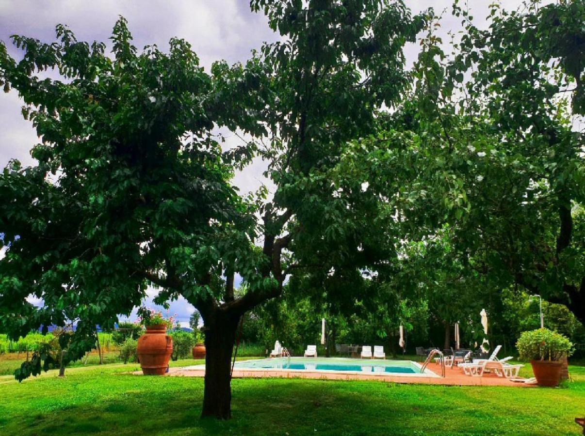 Agriturismo Il Sole Verde Bucine Экстерьер фото